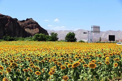 《火影忍者：终极风暴羁绊》发售预告 Steam版明日解锁