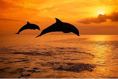 《像素郡物语》新增PS5和NS版本 年内发售